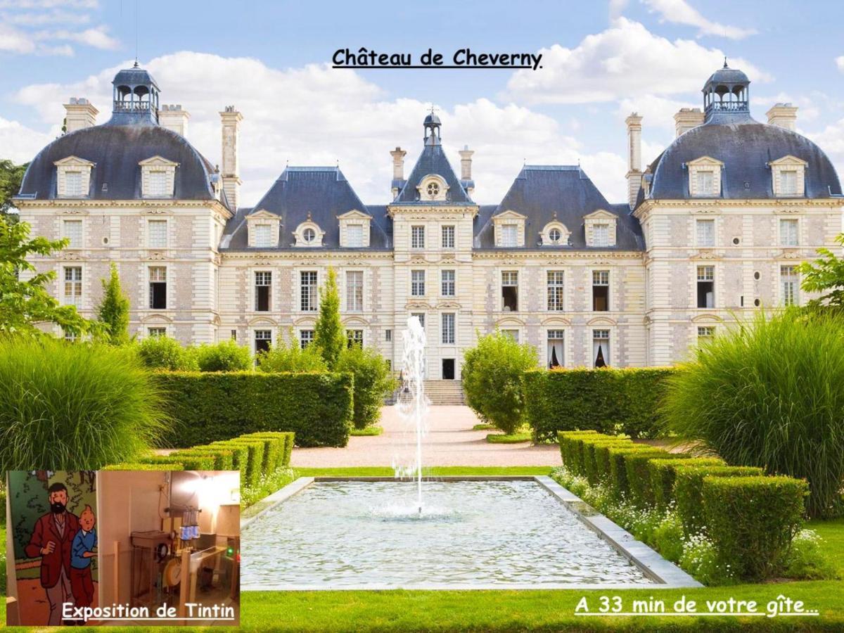 La Porte Aux Dames Romorantin-Lanthenay Εξωτερικό φωτογραφία