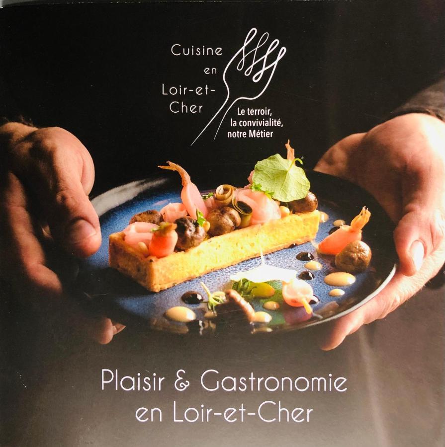 La Porte Aux Dames Romorantin-Lanthenay Εξωτερικό φωτογραφία